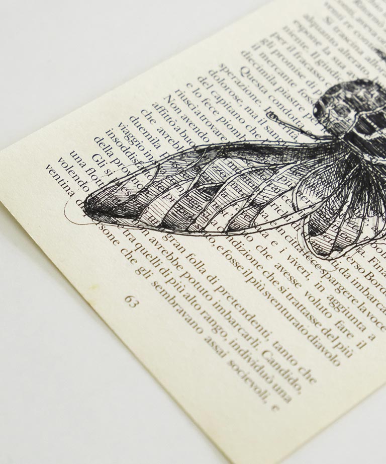 Moth Book