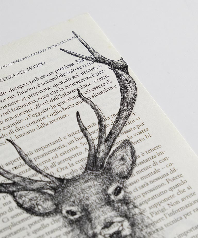 Deer Book