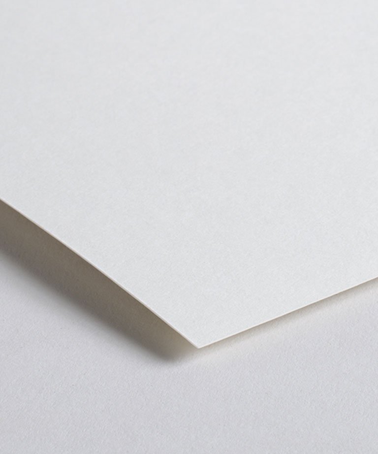 Kunstdruck „Wilder Bär“.