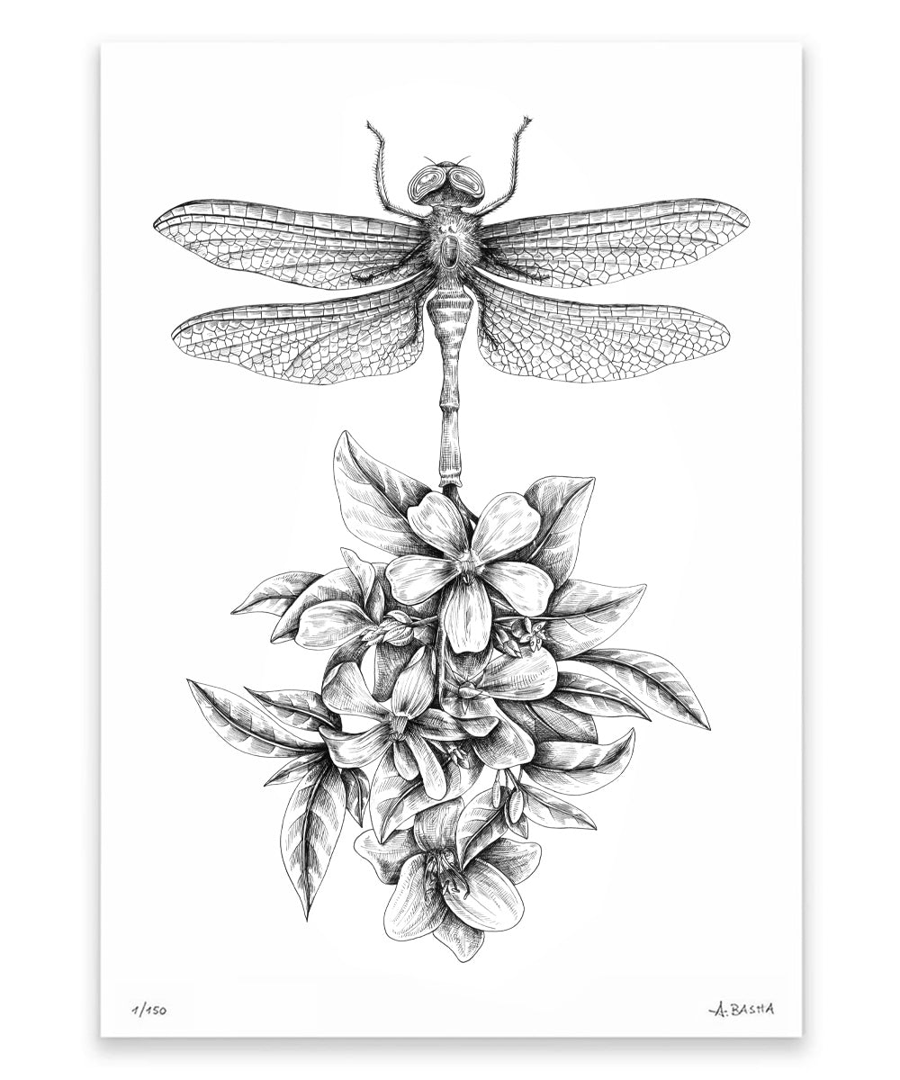 "Dragonfly Flower" art print