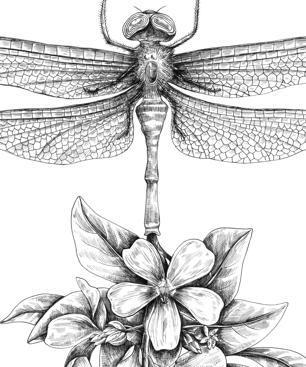 "Dragonfly Flower" art print