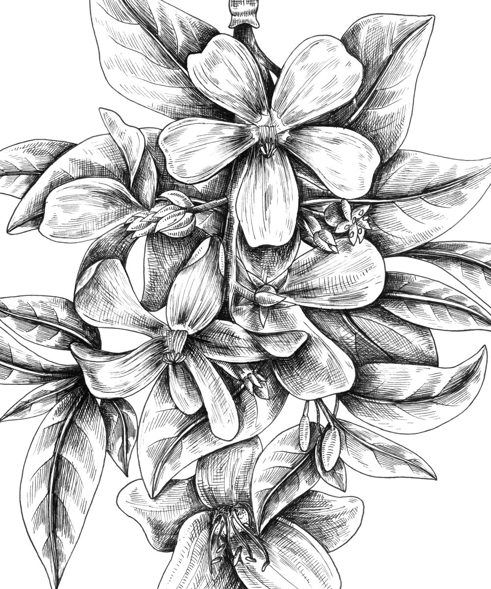 "Dragonfly Flower" art print