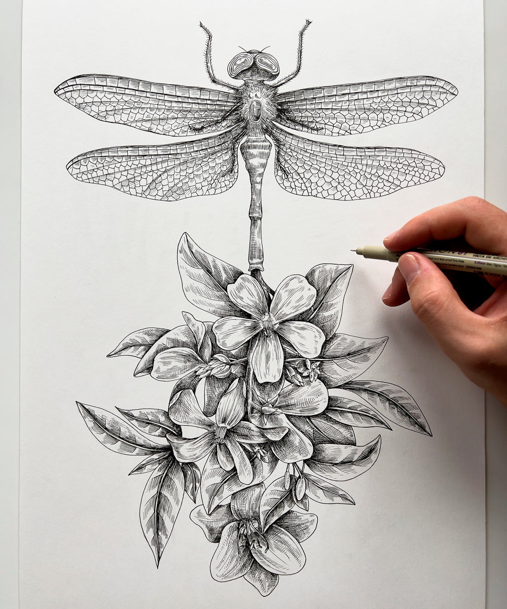 "Dragonfly Flower" art print