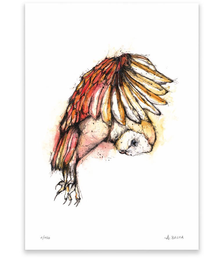 "Flying Owl" art print