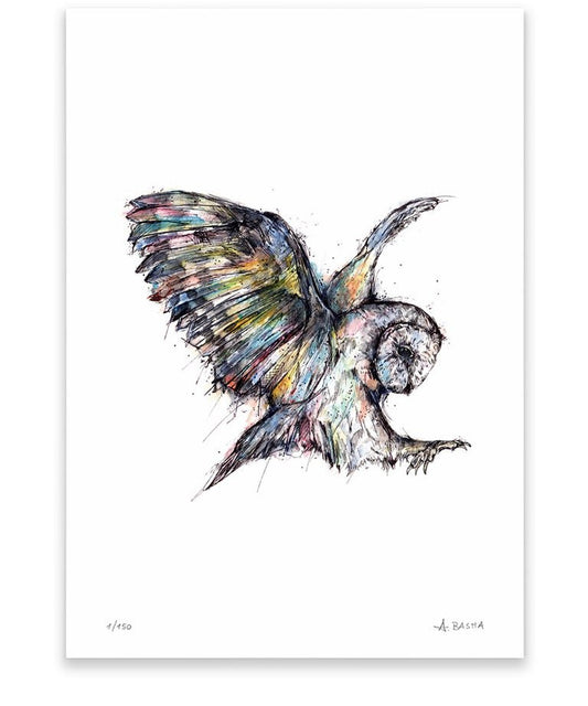 "Barn owl" art print