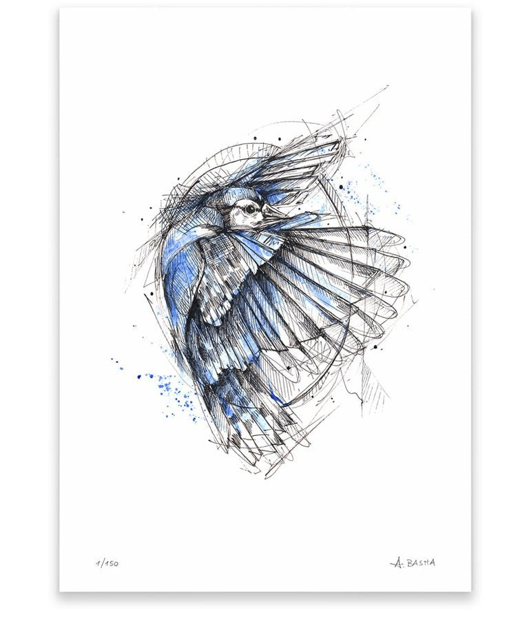 "Blue Jay" art print