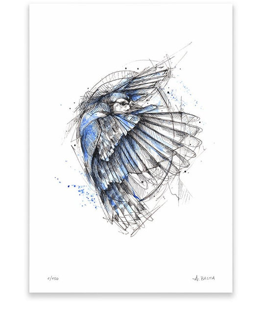 "Blue Jay" art print