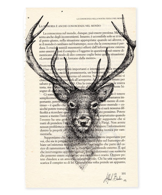 Deer Book
