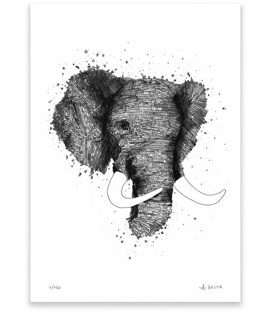 "Elephant rock" art print