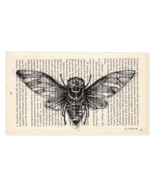 Moth Book