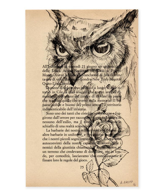 Owl Book
