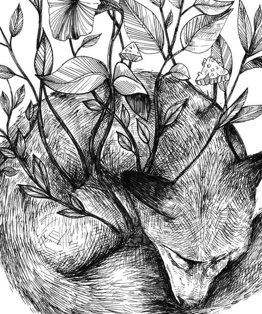 "Sleeping Fox" art print