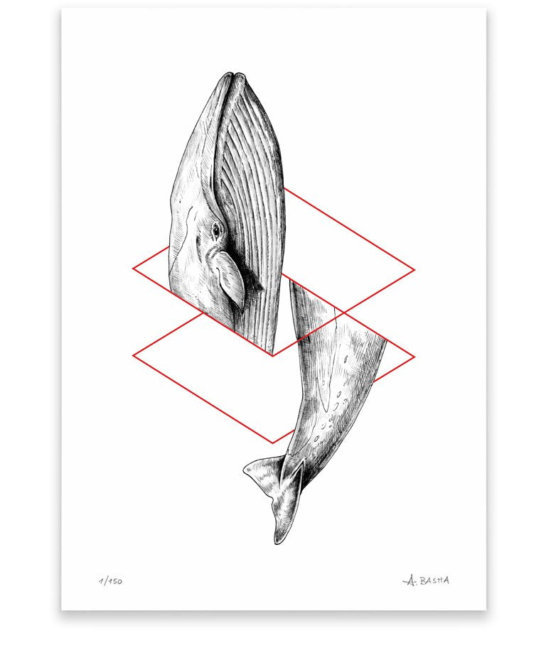 "Whale" Geometry series art print