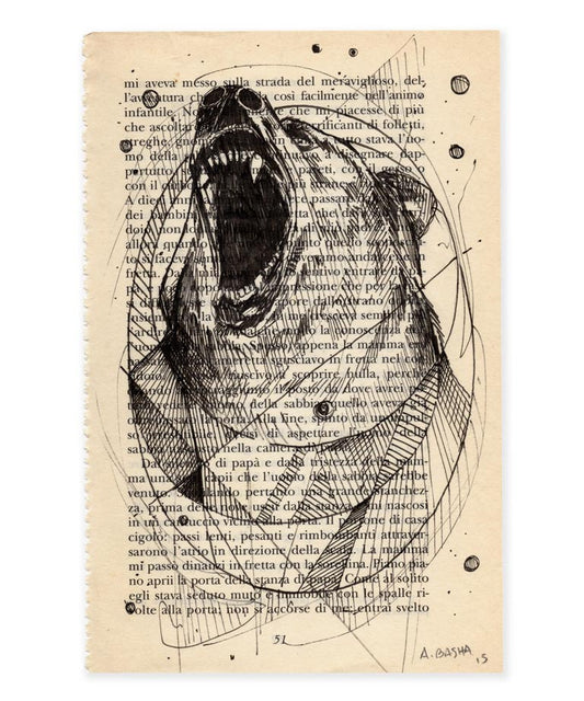 Bear Book