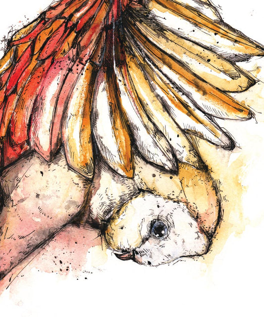 "Flying Owl" art print