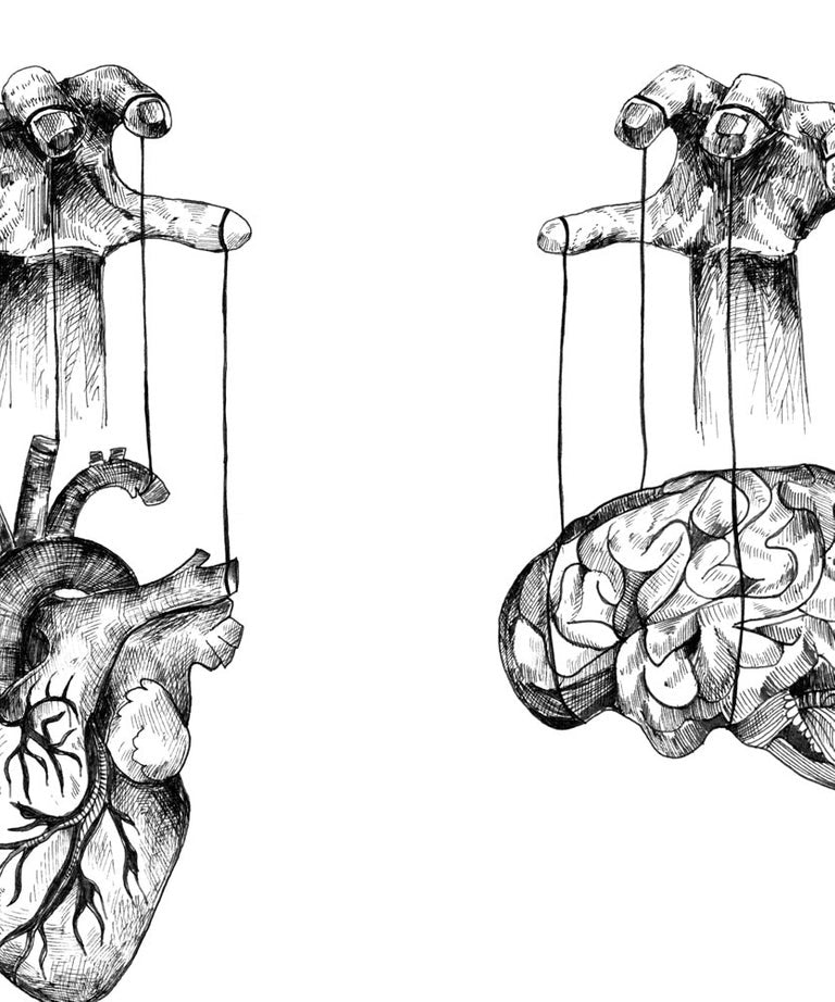 Brain Rode Drawing Brain Drawing Art
