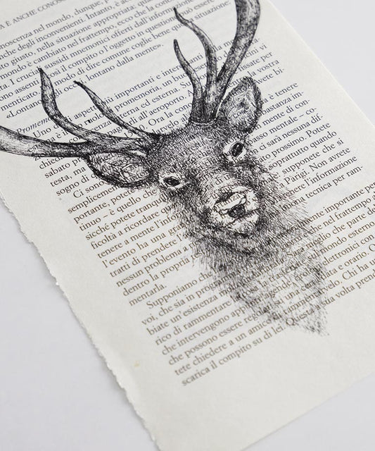 Deer Book