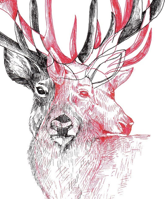 "Deer Motion" art print