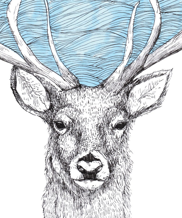 "Deer Water" art print