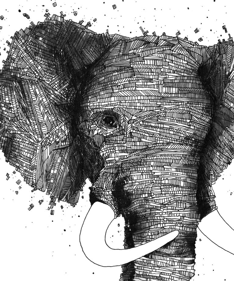 "Elephant rock" art print