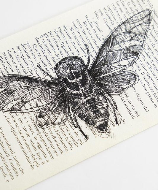 Moth Book