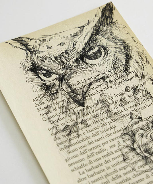 Owl Book
