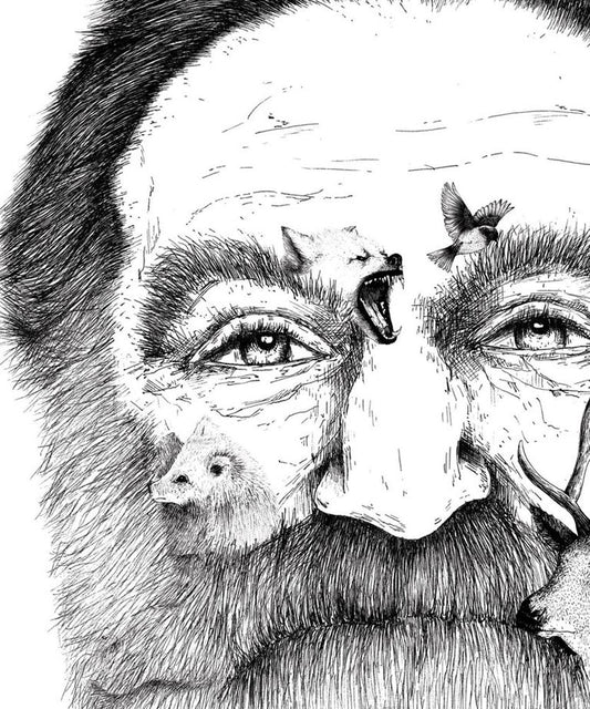 "Robin Williams" art print