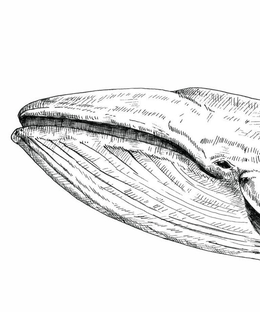 "Mechanical Whale" art print