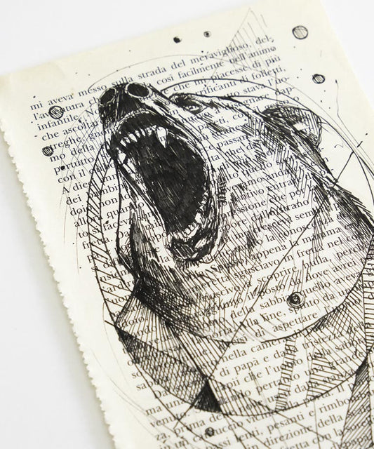 Bear Book