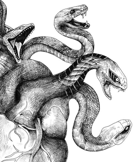 "Snake Heart" art print