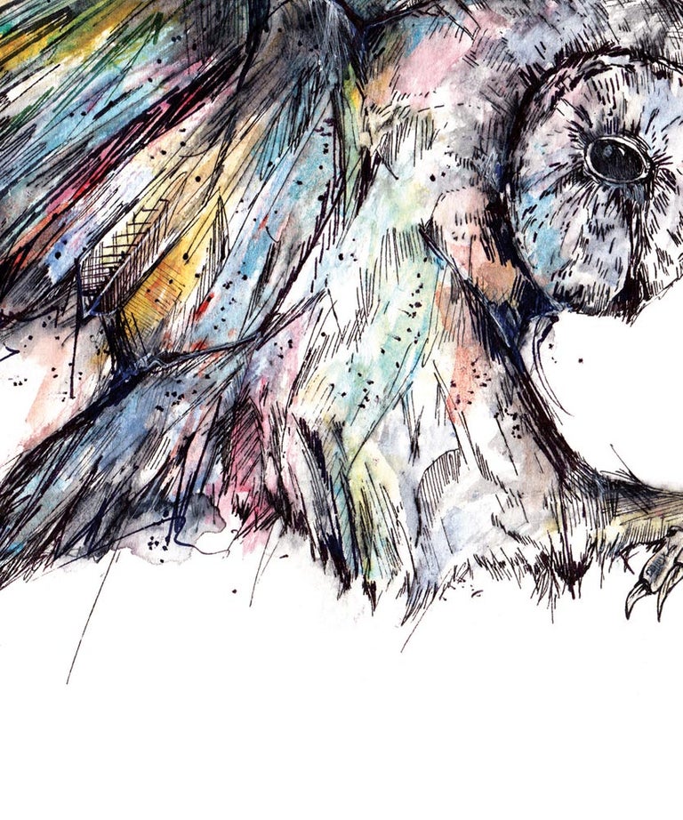 "Barn owl" art print