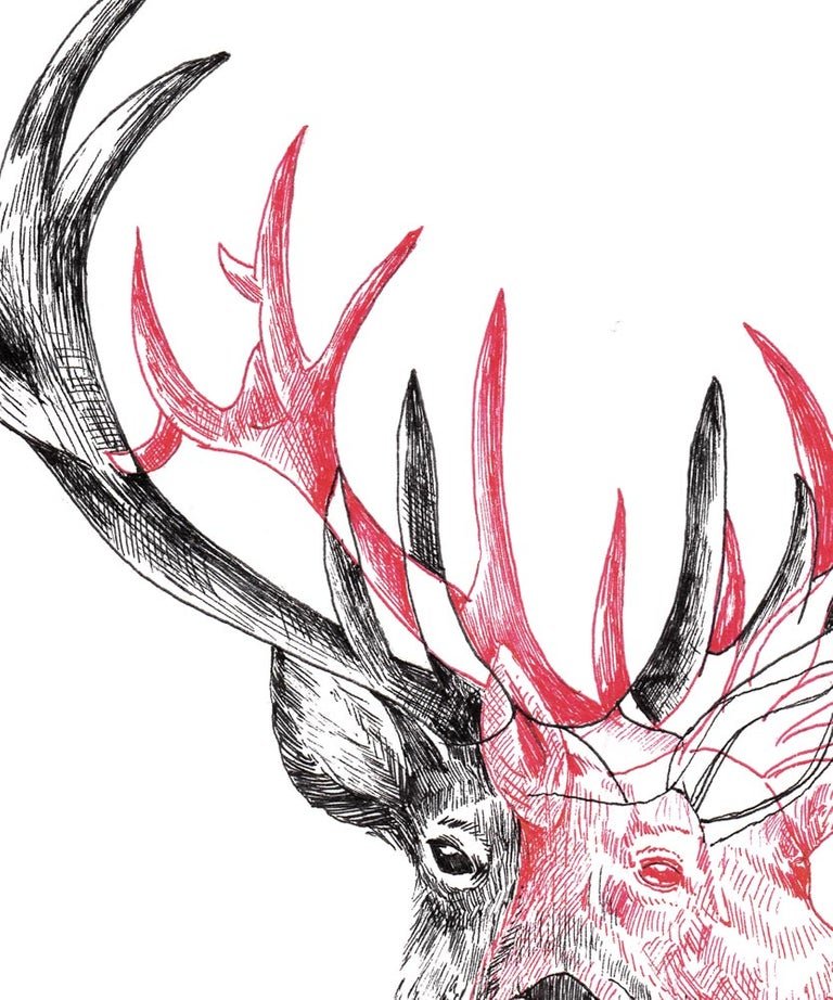 "Deer Motion" art print