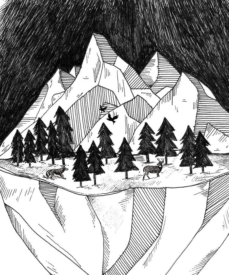 "Mountain bear" art print