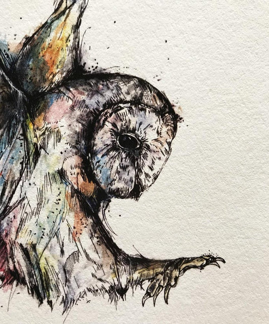 "Barn owl" art print