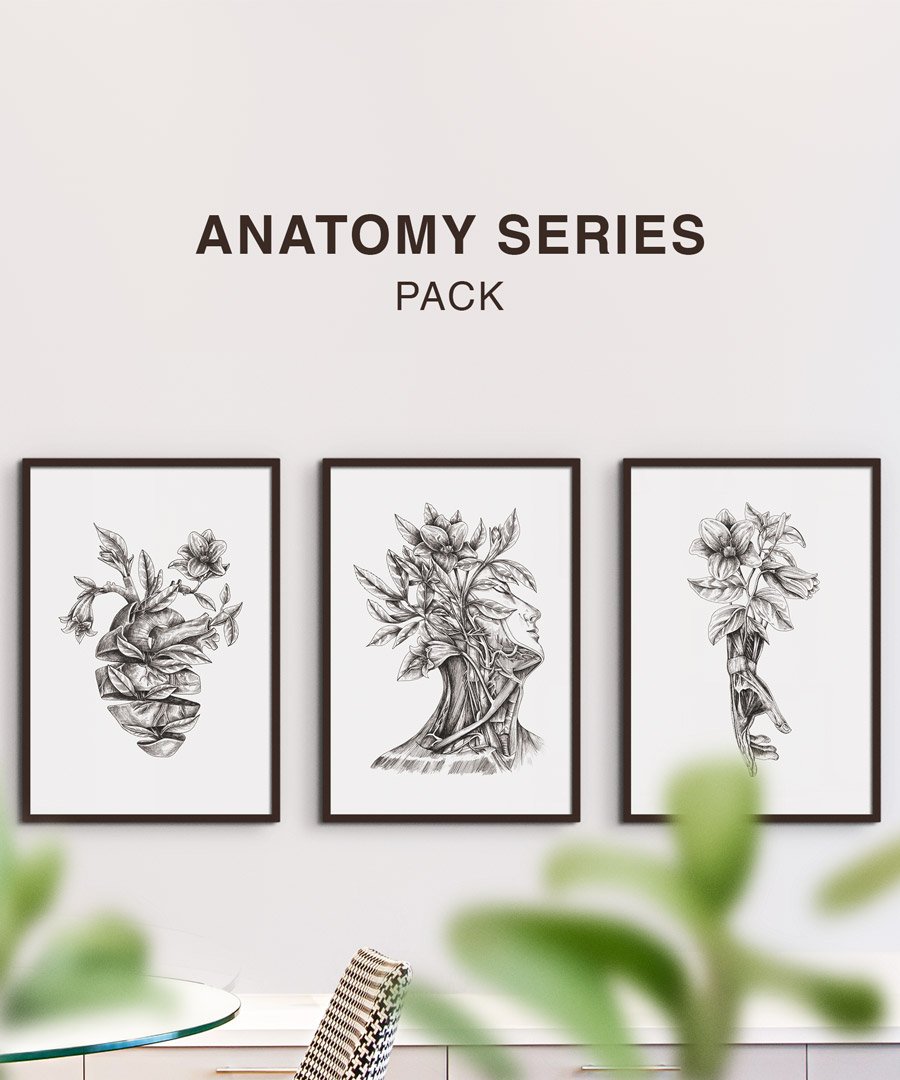 Anatomy Series pack