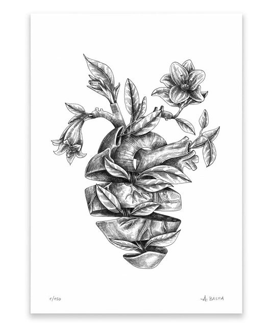 "Heart Anatomy" art print