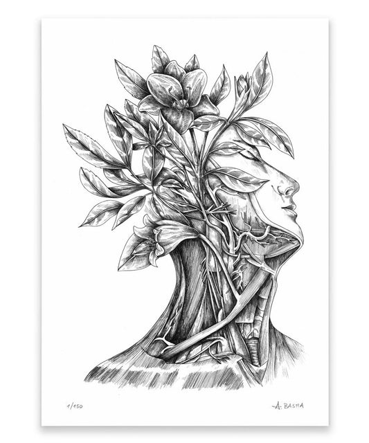 "Head Anatomy" art print